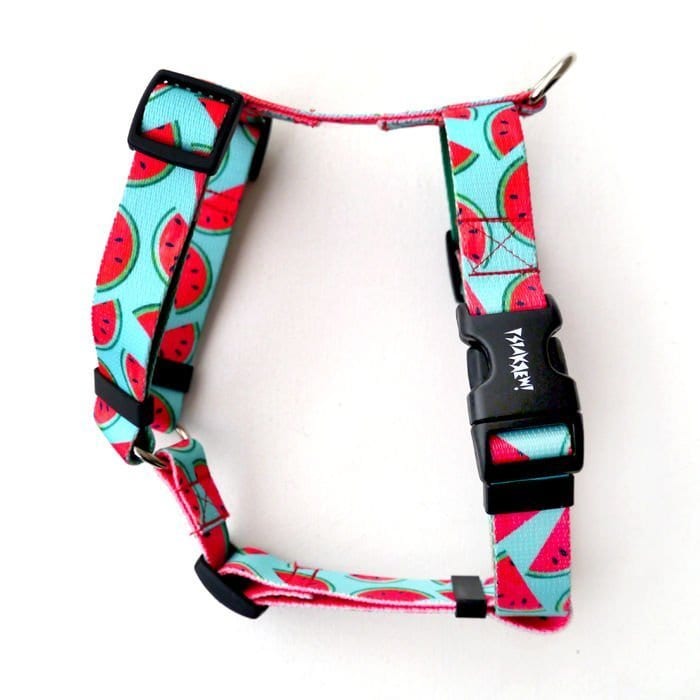 watermelon dog harness