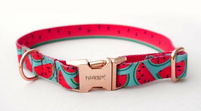 watermelon collar