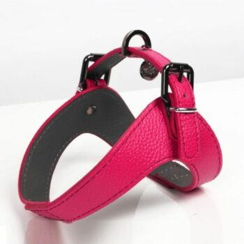 Pettorina Step In Dandy - Rosa Pettorina Step In Dandy - Rosa