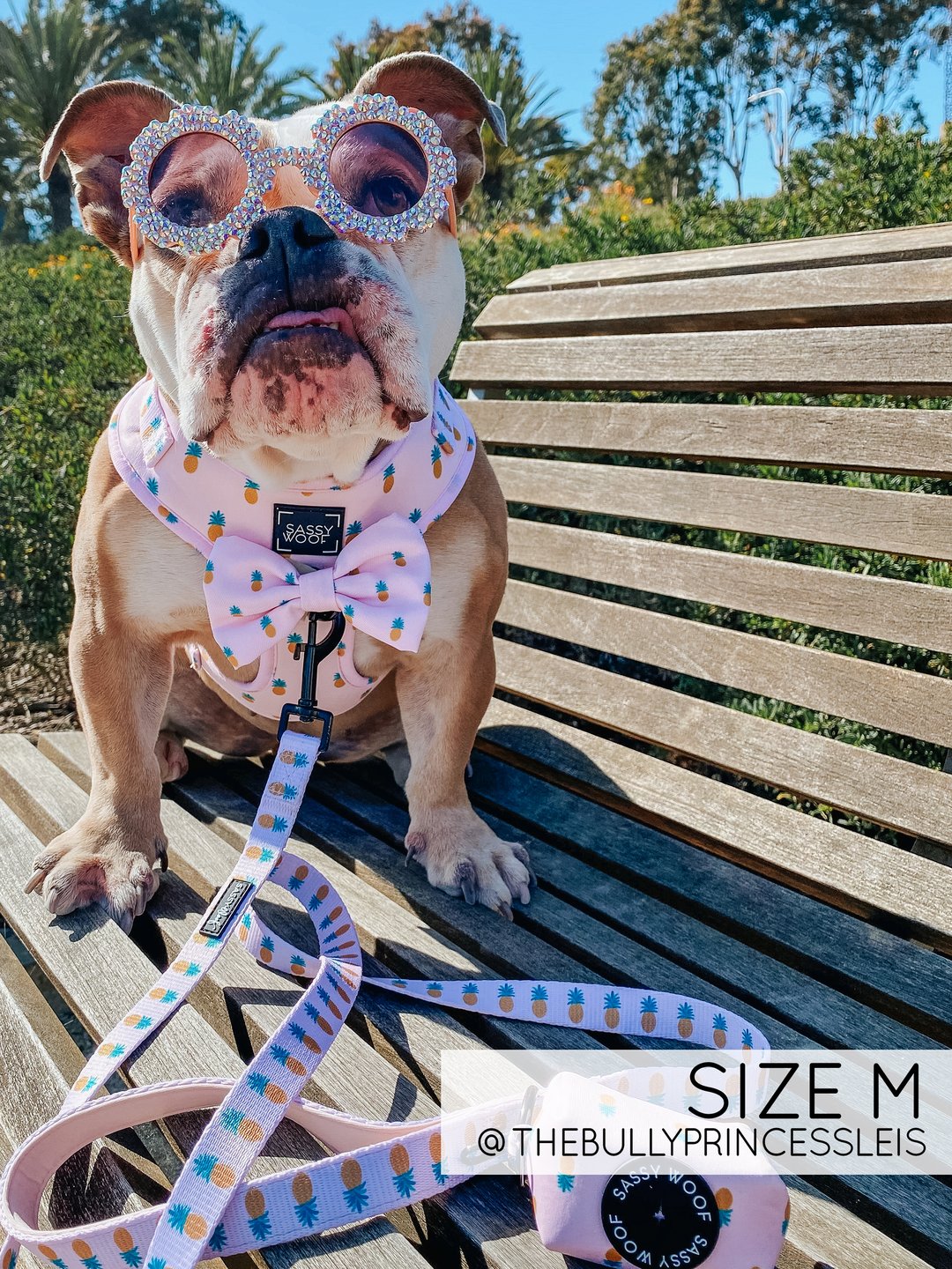 pineapple dog harness