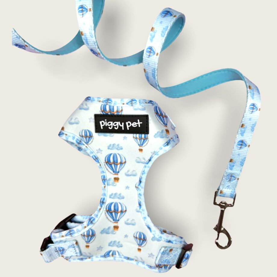 Set Pettorina ad H Regolabile e Guinzaglio Blue Dream