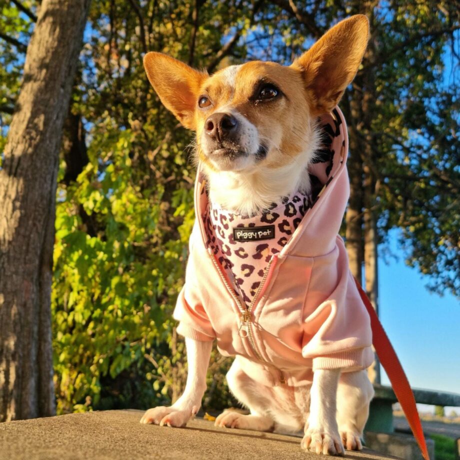 Lux Leopard Adjustable H Harness