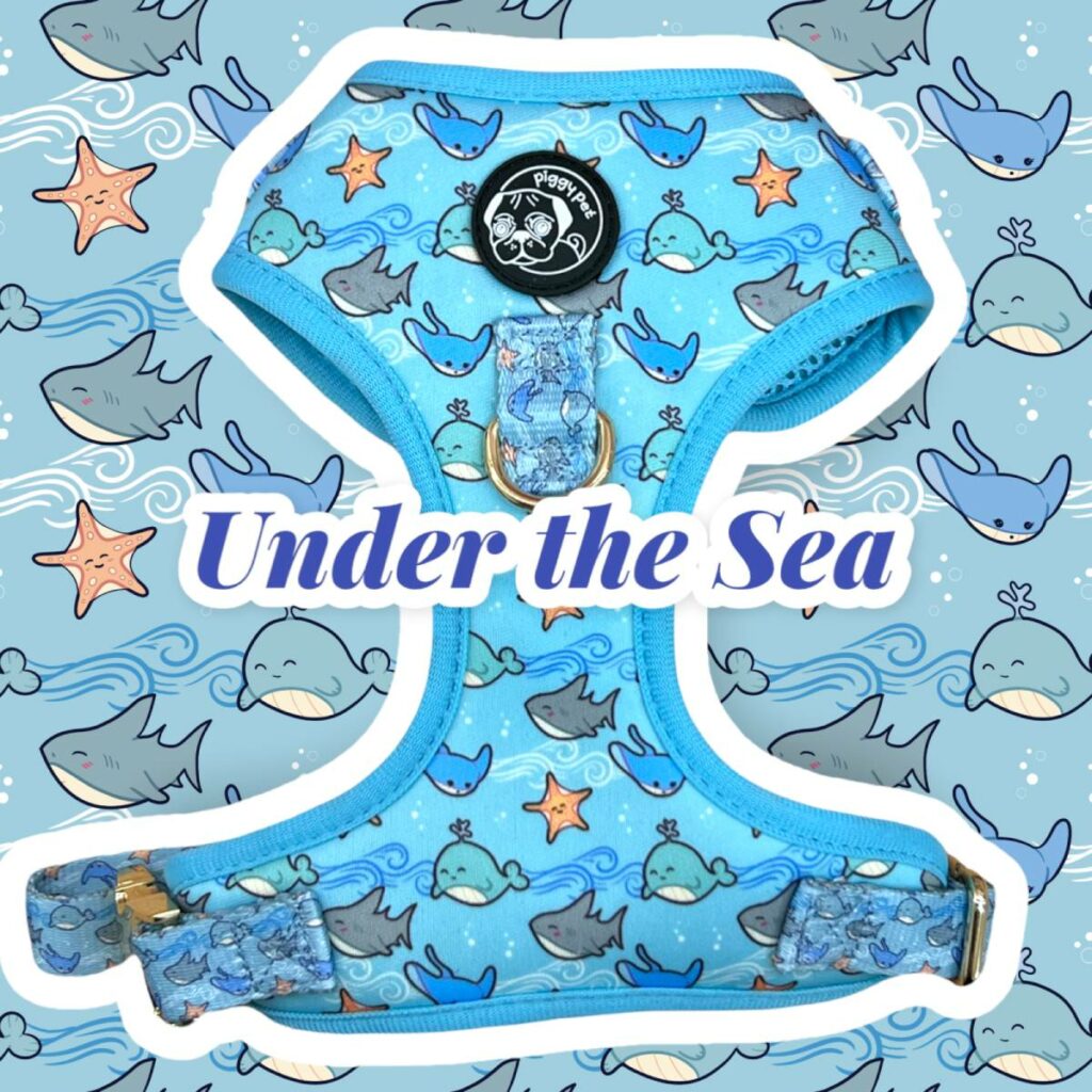 Pettorina ad H Regolabile Under the Sea