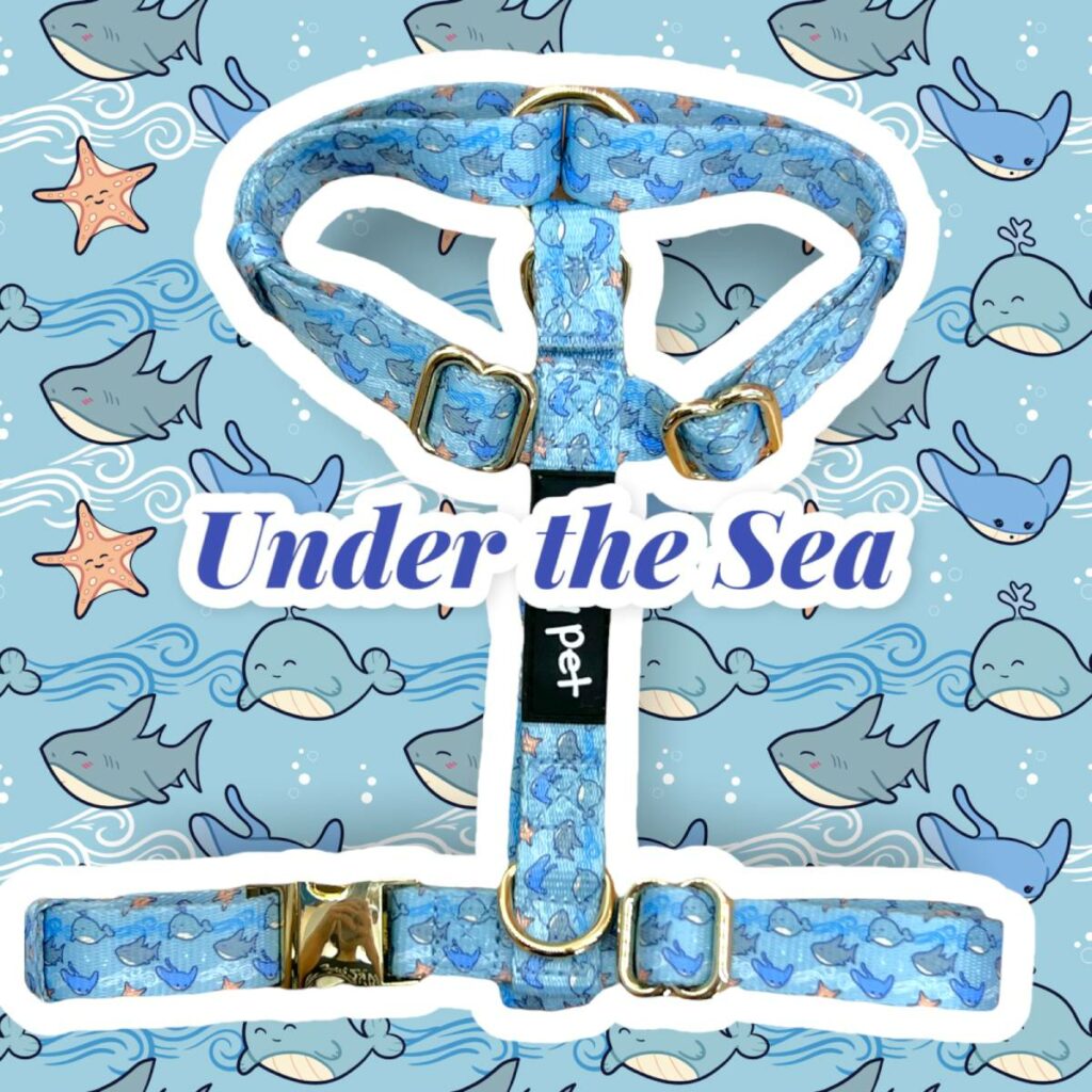 Pettorina ad H Under the Sea