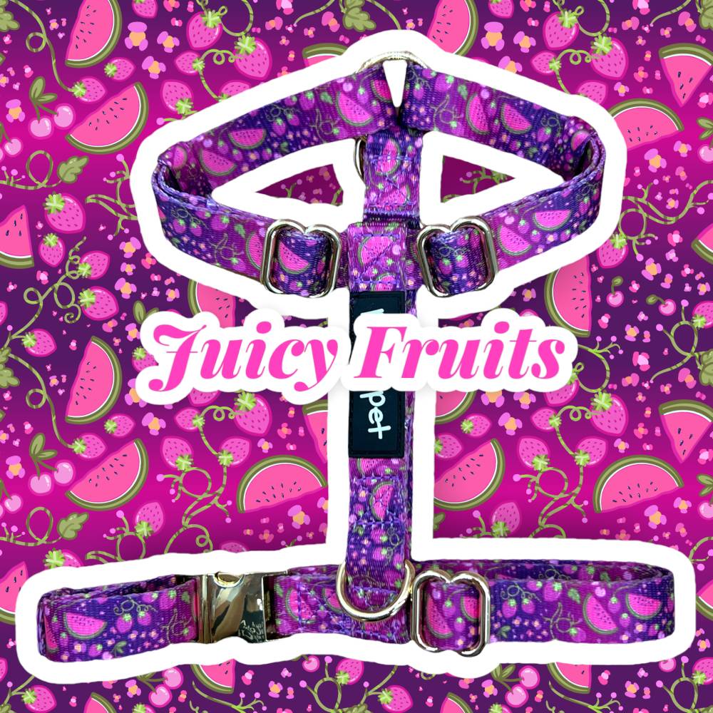 Pettorina ad H Juicy Fruits