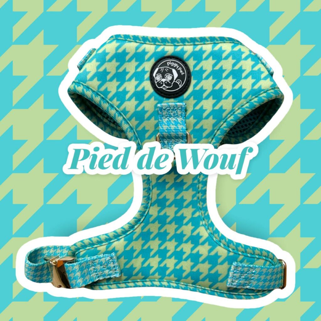 Pettorina ad H Regolabile Pied de Wouf Green