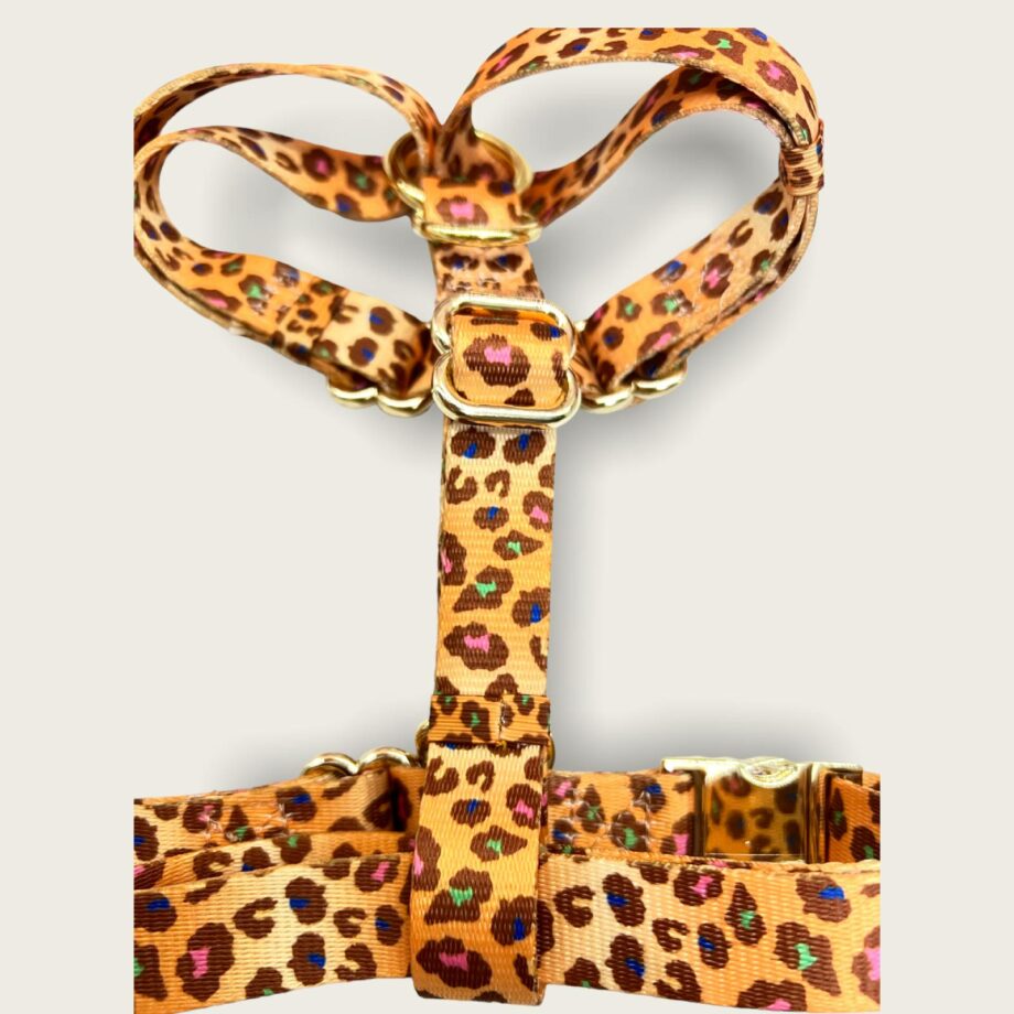 Harness to H Wild Safari