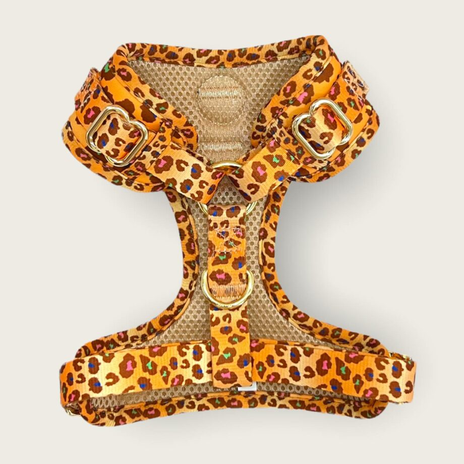 Wild Safari Adjustable H-Harness