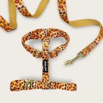 Wild Safari H Harness and Leash Set