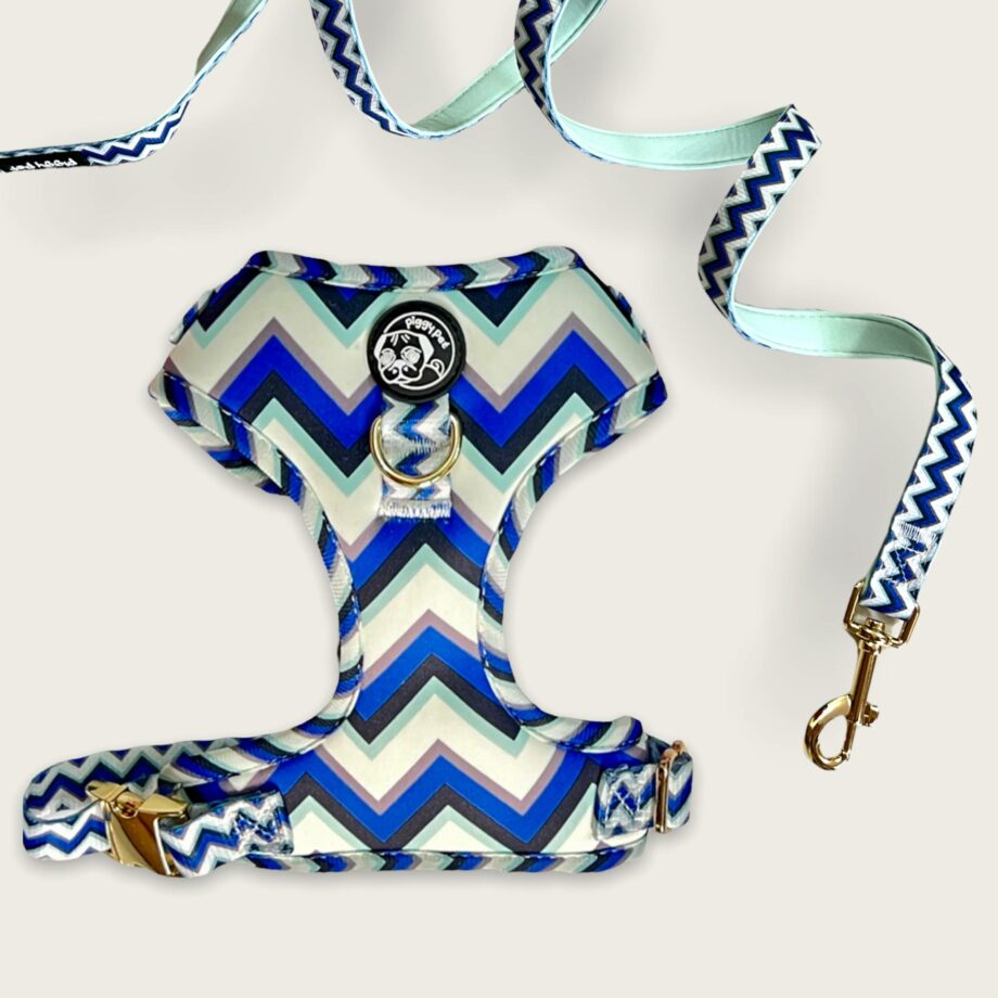 Set Pettorina ad H Regolabile e Guinzaglio Glam in Lines Blue