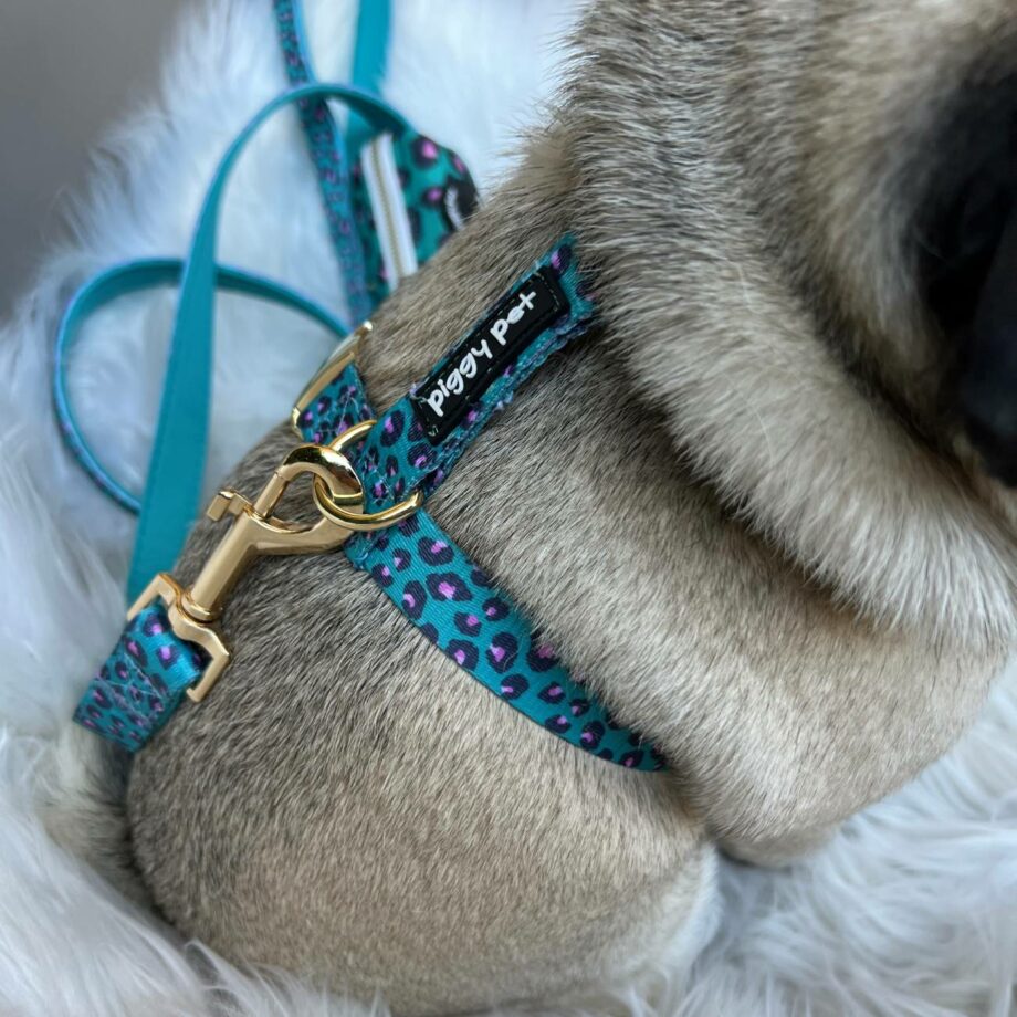 Pettorina ad H  Aqua Leopard