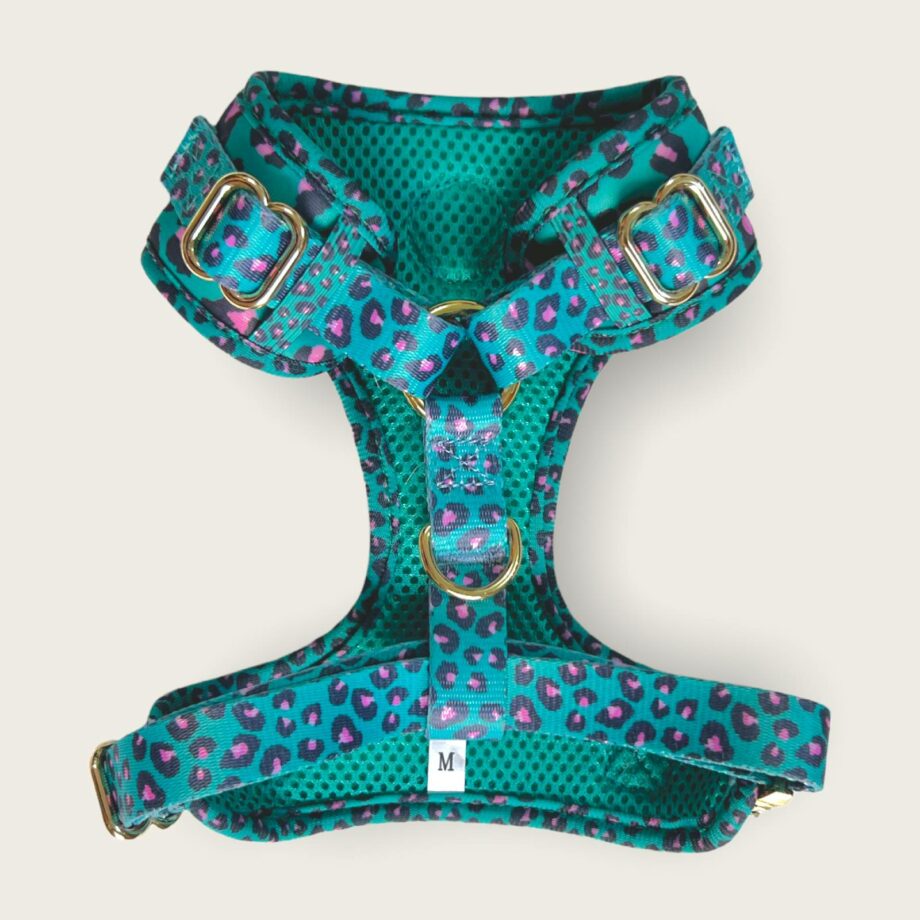 Pettorina ad H Regolabile Aqua Leopard