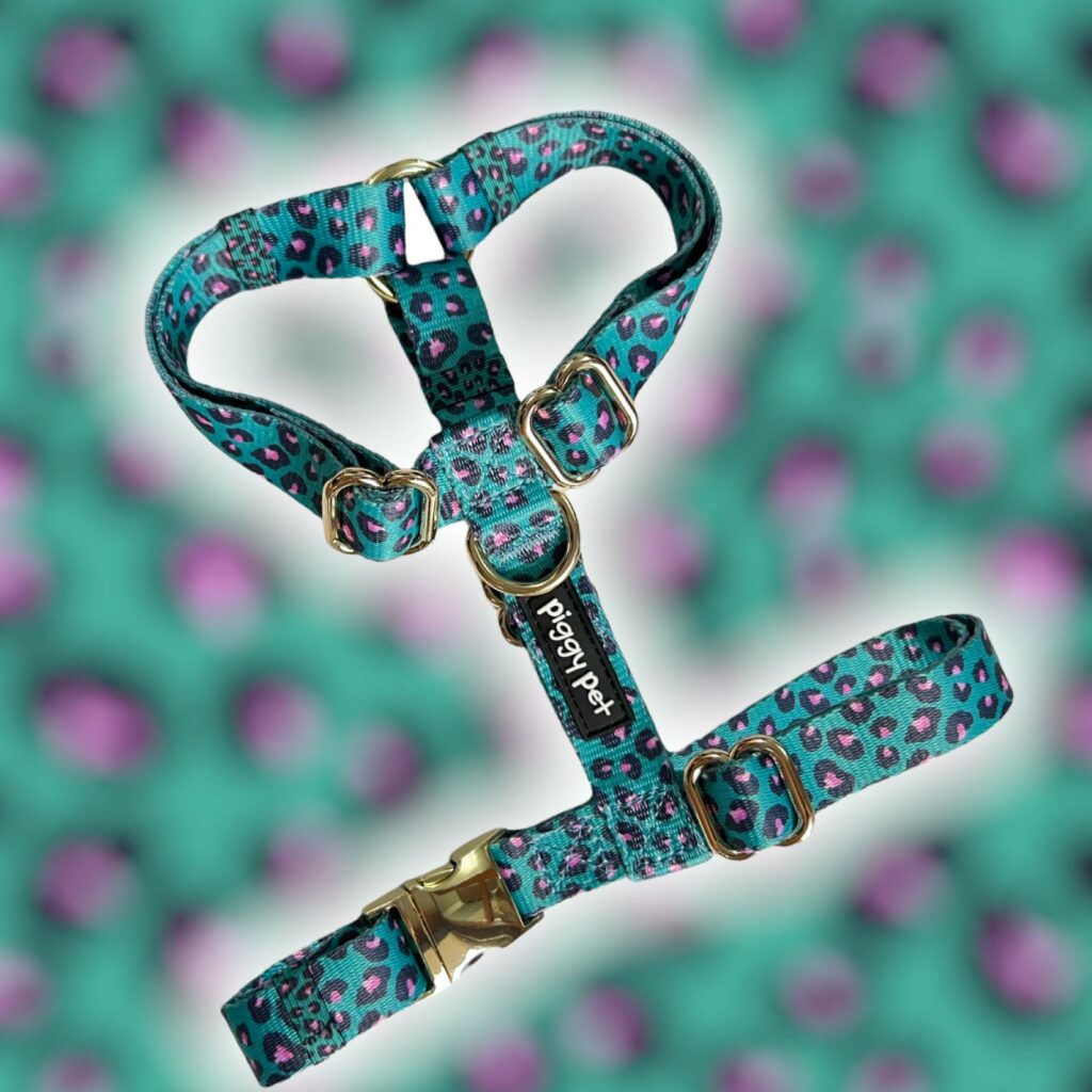 Pettorina ad H  Aqua Leopard