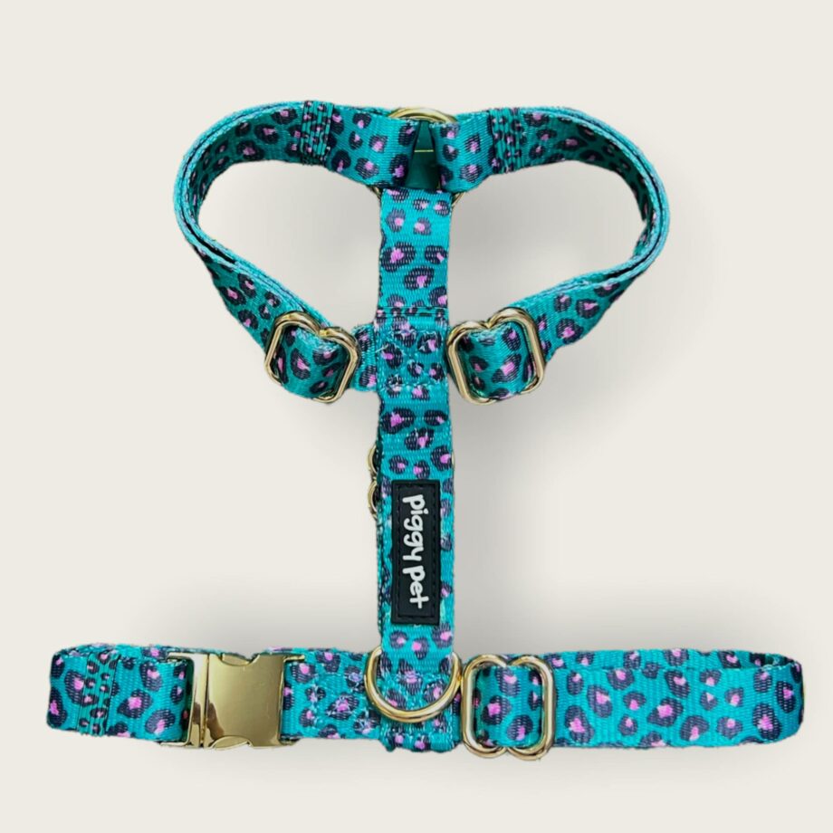 Pettorina ad H  Aqua Leopard