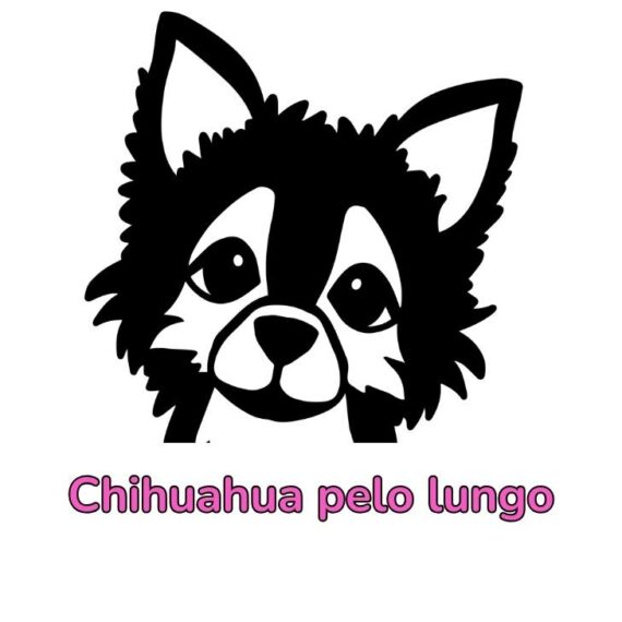 Etichetta Incisa Personalizzata per guinzaglio