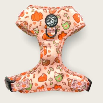 Be a Squirrel collar