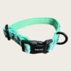 Collare Green Camo