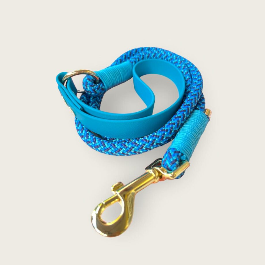 Guinzaglio in corda Blue