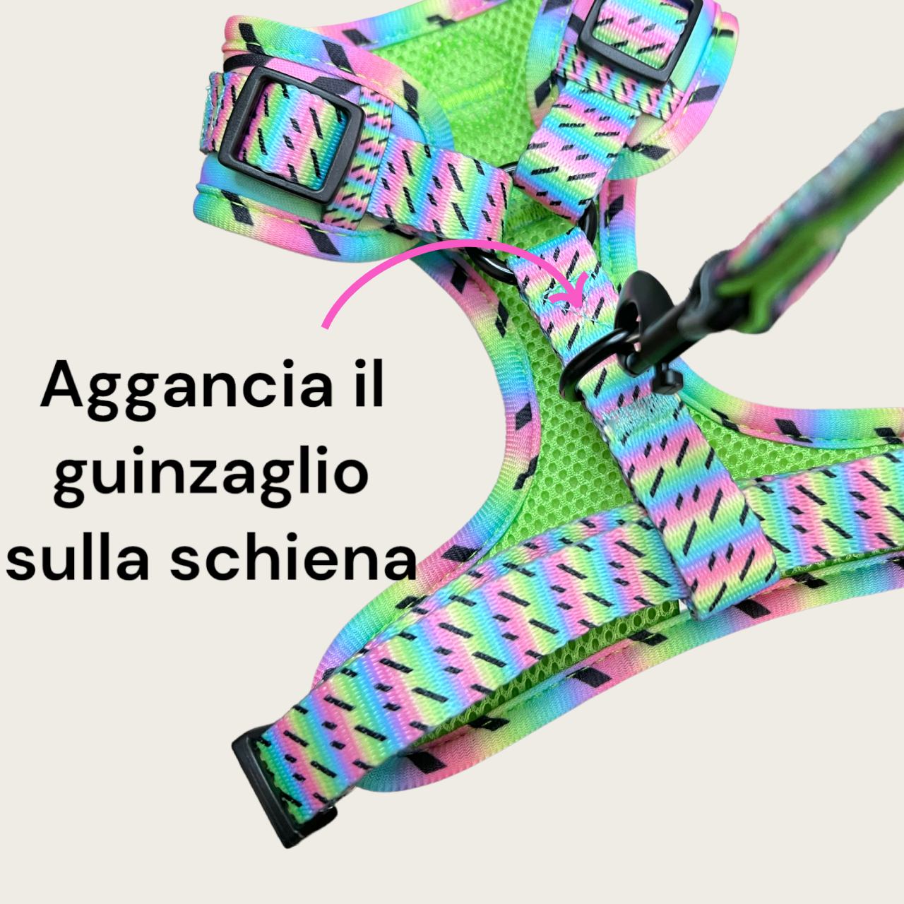 Set Pettorina ad H Regolabile e Guinzaglio Lollipop