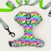 Adjustable H Harness and Lollipop Leash Set
