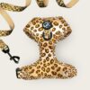 Savana's Shades Adjustable Harness and Leash Set