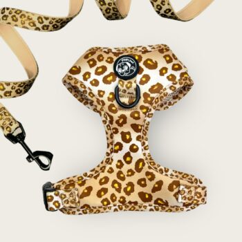 Savana's Shades Adjustable Harness and Leash Set