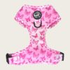 Butterfly Adjustable H Harness