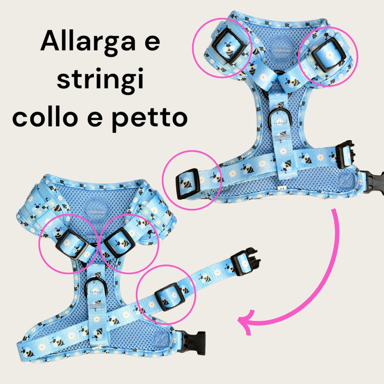 Set Pettorina ad H Regolabile e Guinzaglio Bee with Me