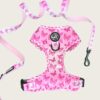 Adjustable H Harness and Butterfly Leash Set