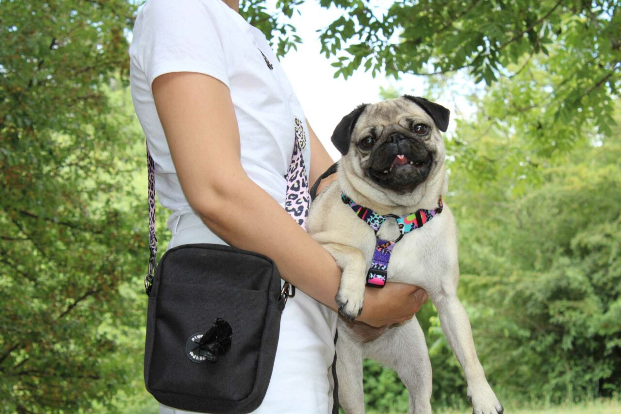 Borsa da Passeggio - Pink Lux Leopard