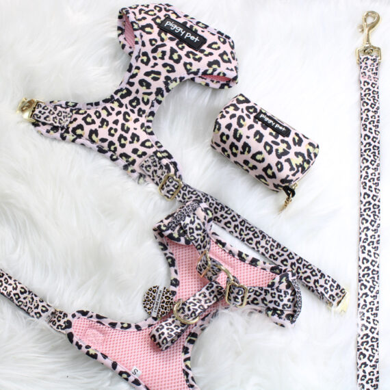 Set Pettorina ad H Regolabile e Guinzaglio Lux Leopard