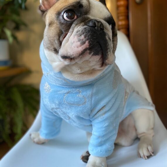 Pile Saint Valentine Blue