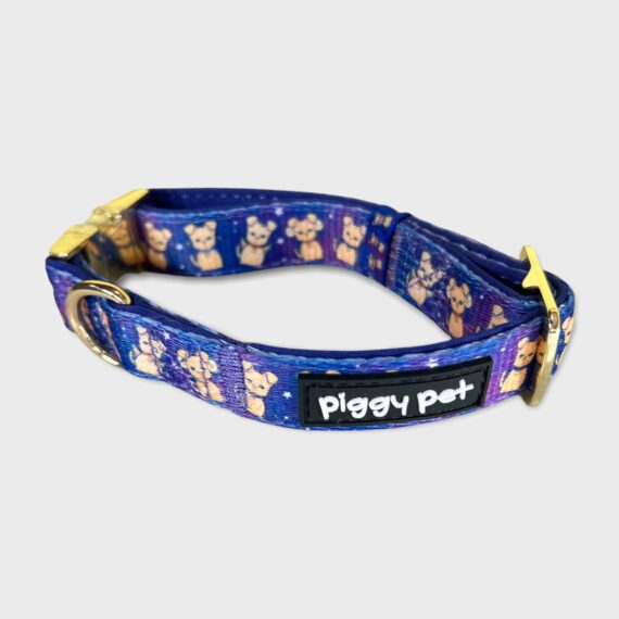 Set Collare e Guinzaglio Stars 'N Pups