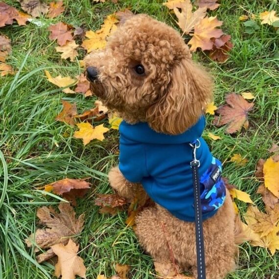 Felpa Blue Camo