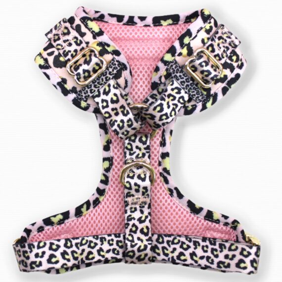 Set Pettorina ad H Regolabile e Guinzaglio Lux Leopard