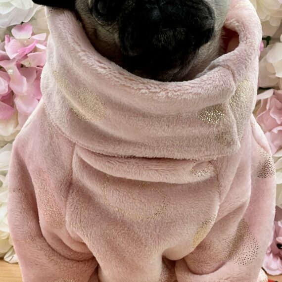 Pile Saint Valentine Rose