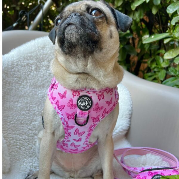 Porta sacchetti Butterfly Porta sacchetti Butterfly