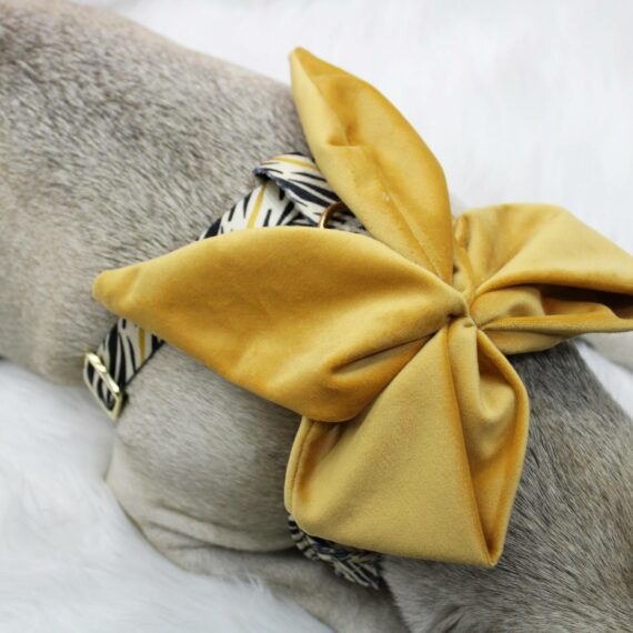 Golden Sailor Bow