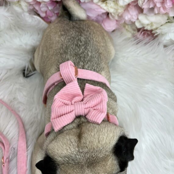 Fiocco Luxury Velvet Pink