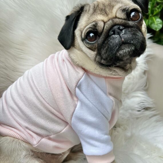 Felpa Cotton Pink