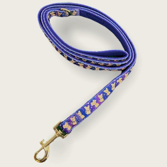 Set Collare e Guinzaglio Stars 'N Pups