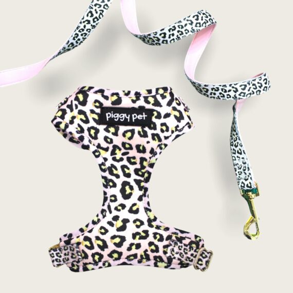 Set Pettorina ad H Regolabile e Guinzaglio Lux Leopard
