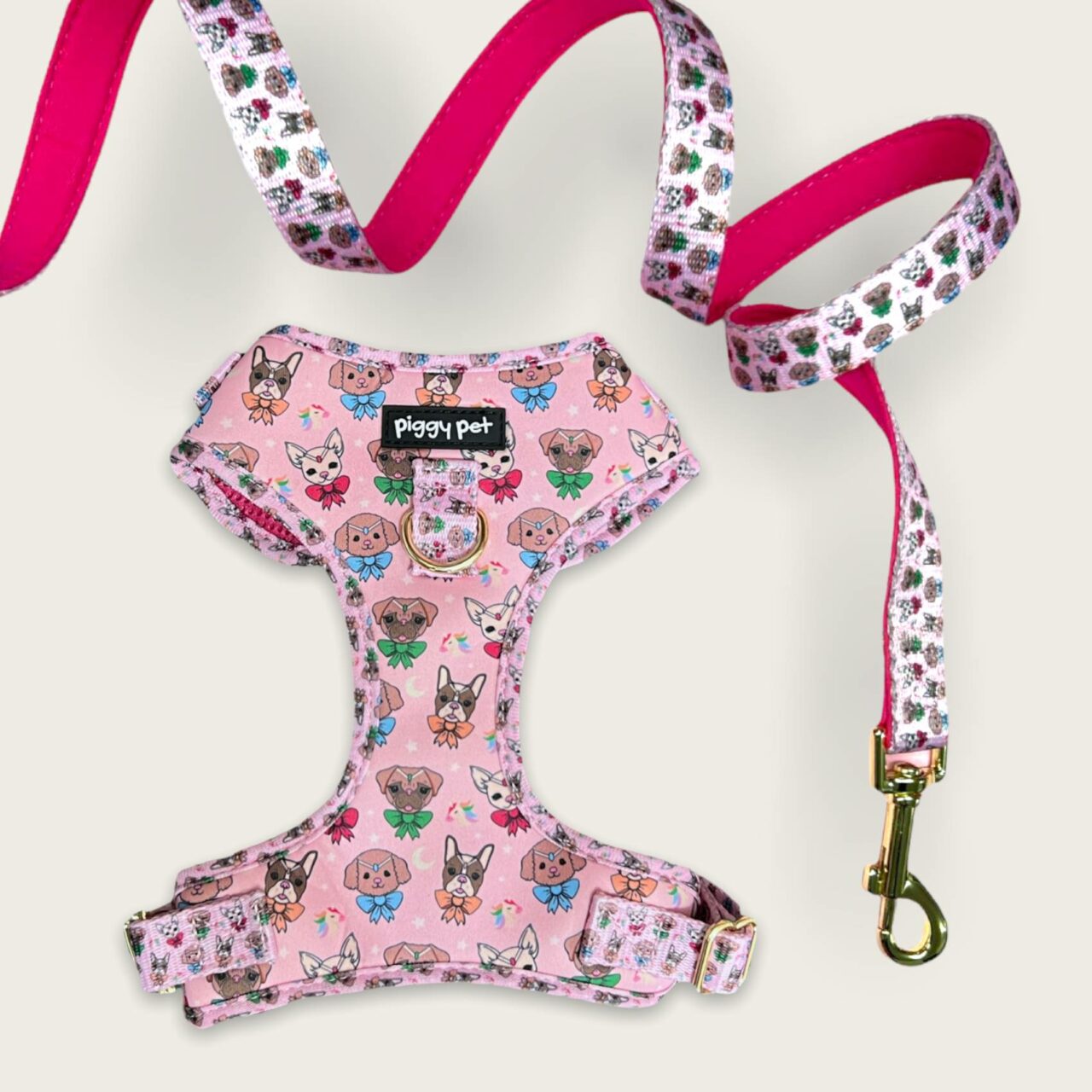 Set Pettorina ad H Regolabile e Guinzaglio Sailor Woof