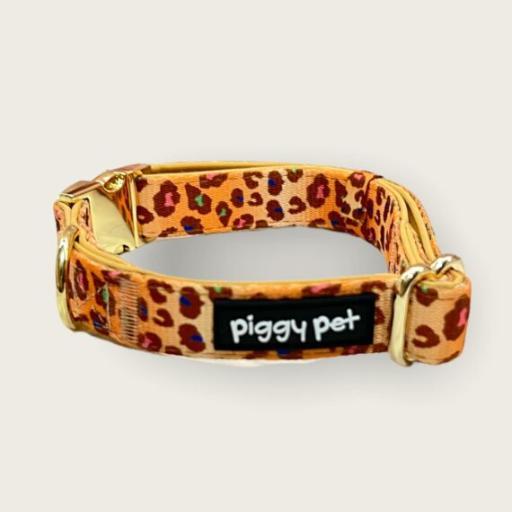 Set Collare e Guinzaglio Wild Safari