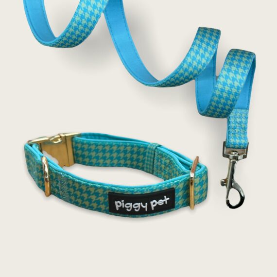 Set Collare e Guinzaglio Pied de Wouf Green