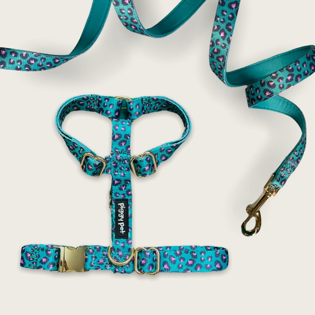 Set Pettorina ad H e Guinzaglio Aqua Leopard