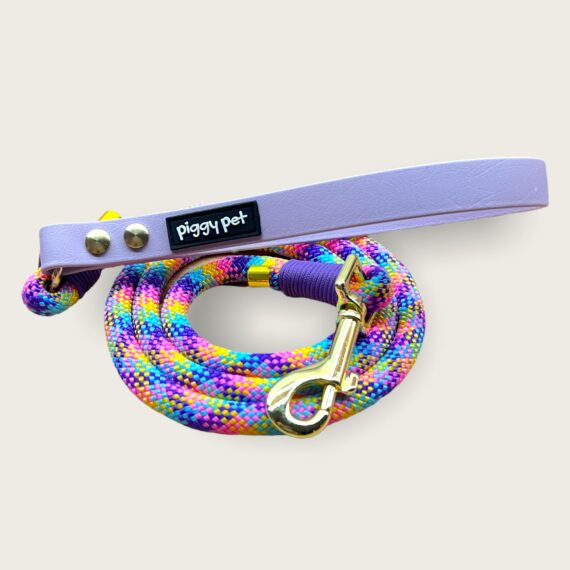 Guinzaglio in corda Rainbow