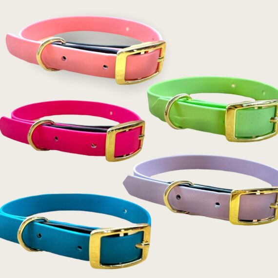 Collare Waterproof