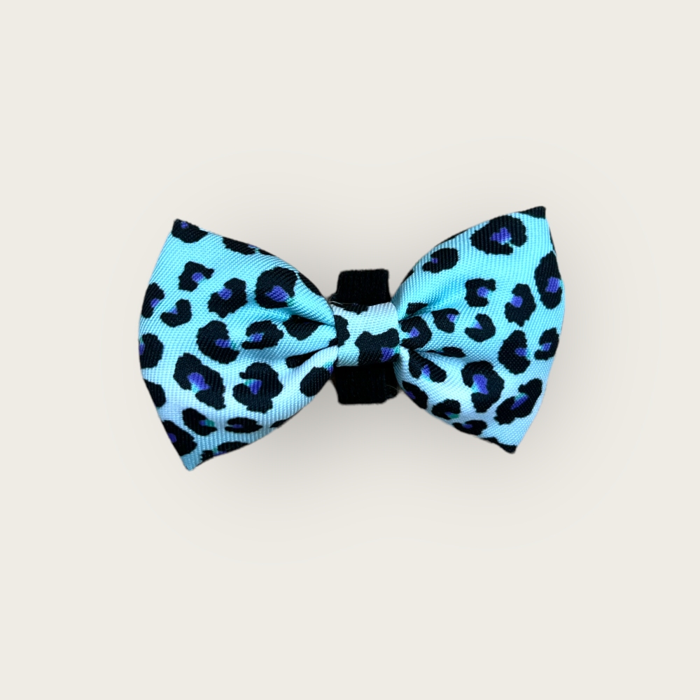 Papillon Sky Leopard