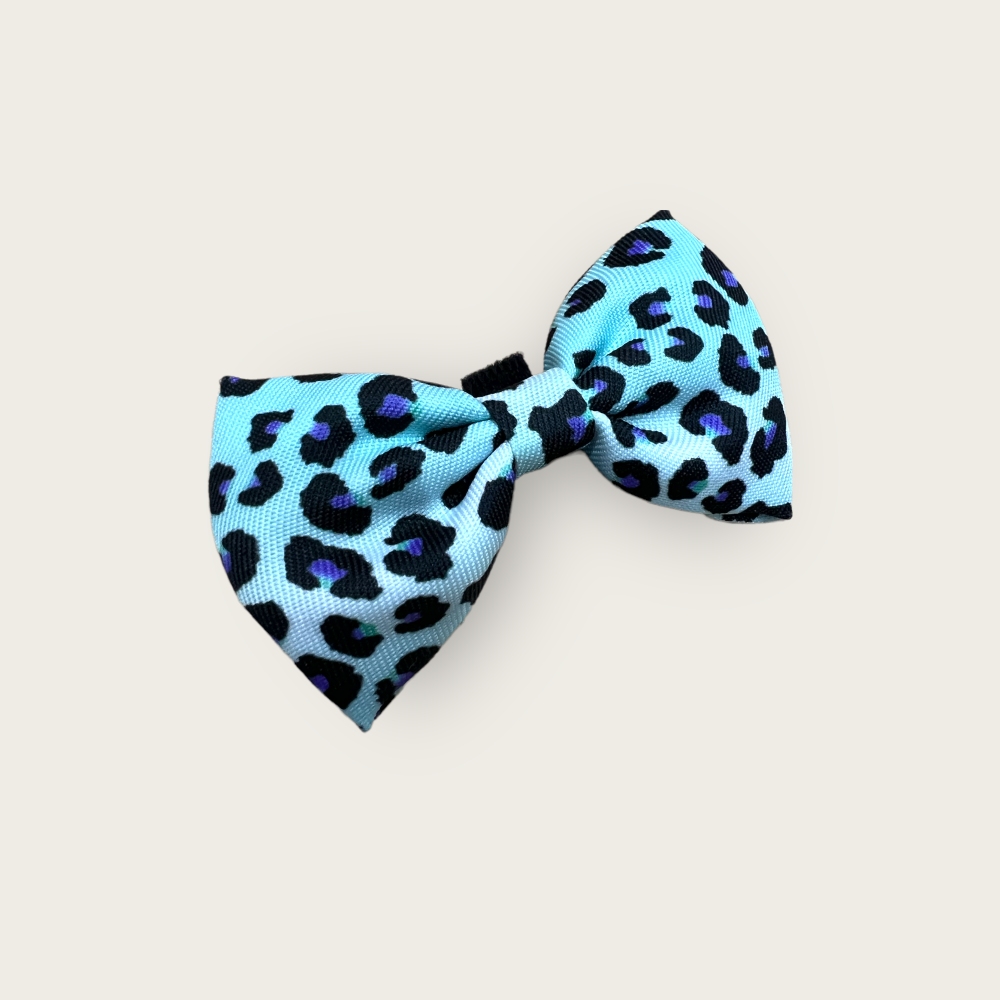 Papillon Sky Leopard